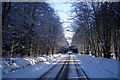 Winter Morning driving through the wood near Memus