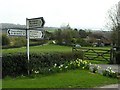 Towards Woolaston Common