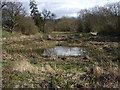 Boggy patch near Cordon