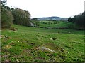 Field, Carlow Hill