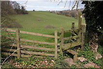 SO3737 : Stile and Footpath, Lunnon Farm, Vowchurch Common by Philip Halling