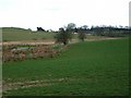 Fields near Lockerbie