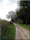 SU4541 : Hill Farm Lane, Lower Bullington by Peter Jordan