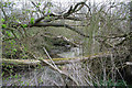 The Ring Dam at Ropsley