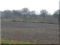 Ploughed field &  Plashett woodland