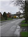 Tree-lined road in Elford