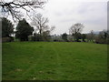 Pasture and trees