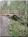 Footbridge in the Woods