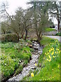 Nant y Cefn, at Clocaenog