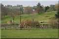 Pond and Gardens