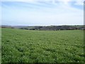 Fields between Moelfre and Glascoed