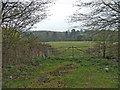 Gateway on Farmland, Hornbeam Lane, looking towards Hoppets Wood.