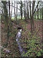 Woodland with stream looking south from Woodfield Lane