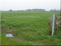 SD4821 : Field near Bretherton Moss by Margaret Clough