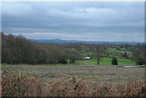SJ8676 : Farmland near Alderley Edge by michael ely