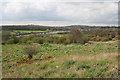 Rough Farmland at Markfield