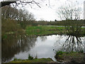 Pond at Barlaston Common