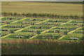 Pheasant Pens, Compton End