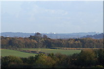 SU4527 : View to Portsdown Hill by Pierre Terre