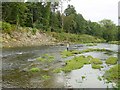 River Severn at Abermule