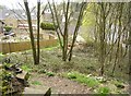 Footpath below Lightridge Road, Netheroyd Hill, Fartown (2)