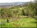 Viewpoint, Netheroyd Hill Liberal Club, Fartown