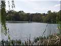 The Lake, Acton Park, Wrecsam