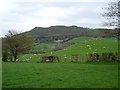 Green fields near Mynydd Bodran