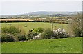 Spring Farmland