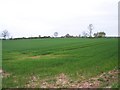 Marston Cottages