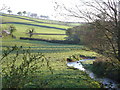 River Wash at Middle Washbourne