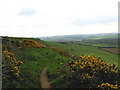 Linton Hill and Clayhanger Farm, near Abbotsbury