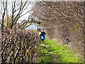 Footpath near Hollinthorpe