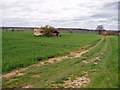 WW2 pillbox near Wimbish Green