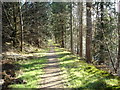 Canal Footpath near Laggan