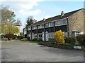 Quarrie Dene Court, Chapel Allerton