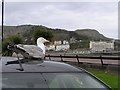 Gull on car, Llandudno