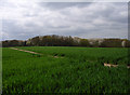 Farmland above Wooburn Green