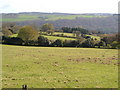 Fields near South Harton farm