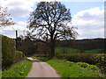 Andrew Hill Lane, Hedgerley