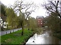 A branch of the River Wey at Eashing Bridge, Shackleford