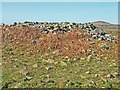 The White Cairn on the Wigtownshire Moors