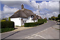 Thatch in Milborne St Andrew