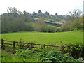 Black Hat Lane from Westwood Lane