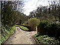 Bridleway to Hurtmore Bottom, Shackleford