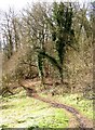 Bridleway from Hurtmore Bottom to Eashing, Shackleford