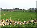 Countryside to the north of Matlock.