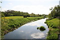 River Witham looking south-east