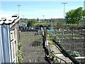 Allotment Gardens, Burslem