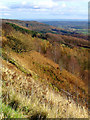 Views from the Kilburn White Horse